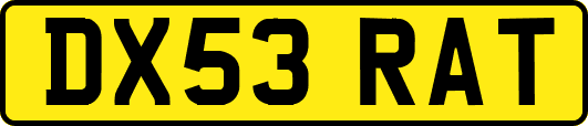 DX53RAT