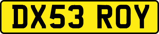 DX53ROY