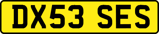 DX53SES