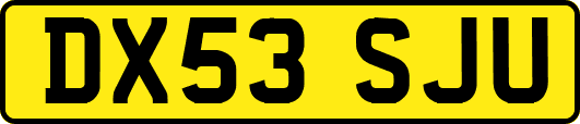 DX53SJU