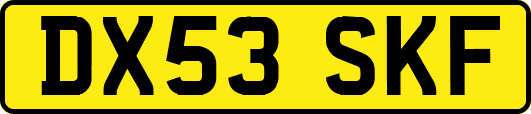 DX53SKF