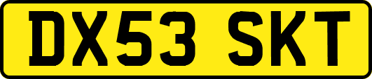 DX53SKT