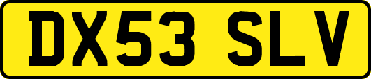 DX53SLV