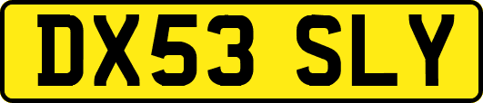 DX53SLY