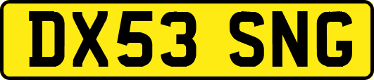 DX53SNG