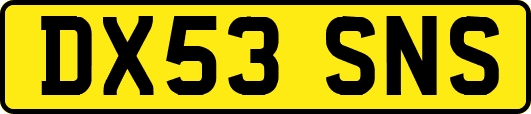 DX53SNS