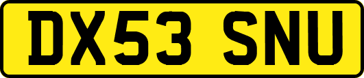 DX53SNU