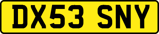 DX53SNY
