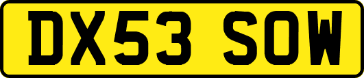 DX53SOW