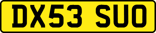 DX53SUO