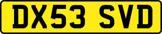 DX53SVD