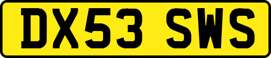 DX53SWS