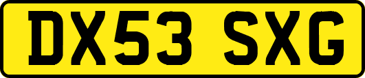 DX53SXG