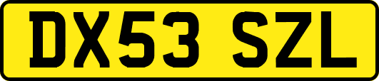 DX53SZL