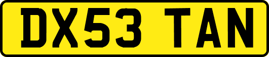 DX53TAN