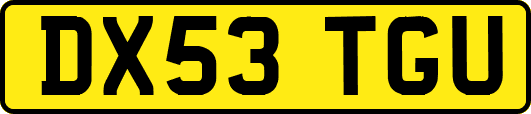 DX53TGU