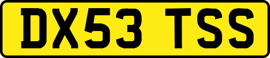 DX53TSS