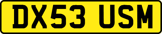 DX53USM