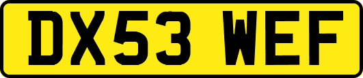 DX53WEF