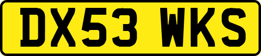 DX53WKS