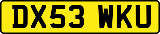 DX53WKU