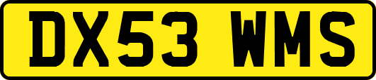 DX53WMS