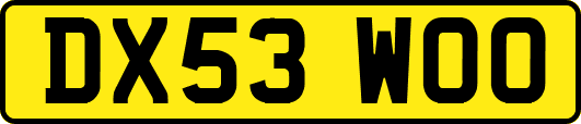 DX53WOO