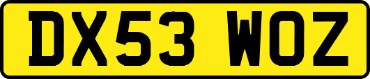DX53WOZ