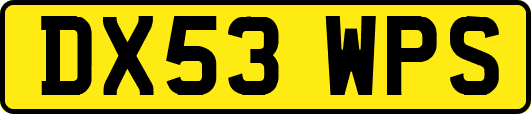 DX53WPS