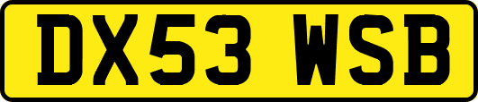 DX53WSB