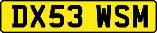 DX53WSM