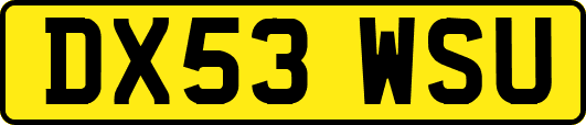 DX53WSU