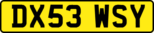 DX53WSY