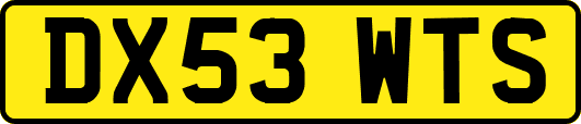 DX53WTS