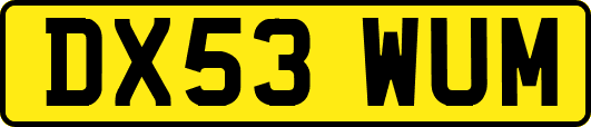 DX53WUM