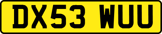 DX53WUU