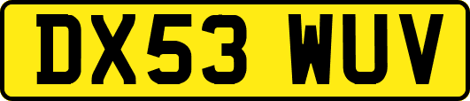 DX53WUV