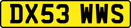 DX53WWS