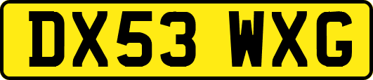 DX53WXG