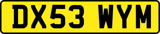DX53WYM