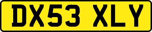 DX53XLY