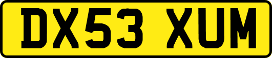 DX53XUM