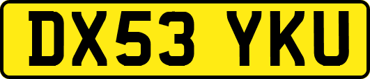 DX53YKU