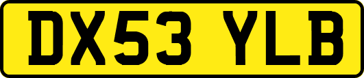 DX53YLB