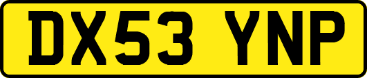DX53YNP