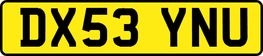 DX53YNU