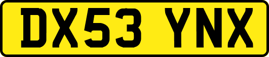 DX53YNX