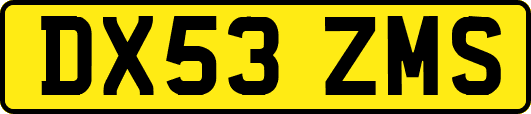 DX53ZMS