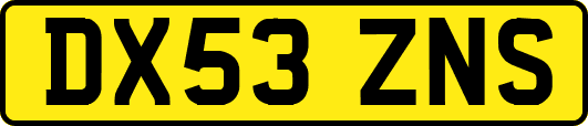 DX53ZNS