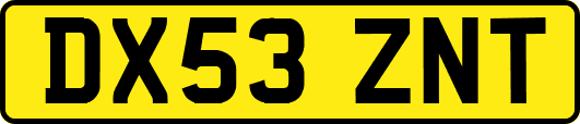 DX53ZNT
